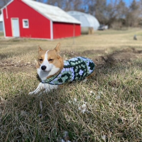 Dog Sweater XS Green Brown Crochet Handmade Granny Chihuahua, Yorkie, Teacup - Picture 9 of 10